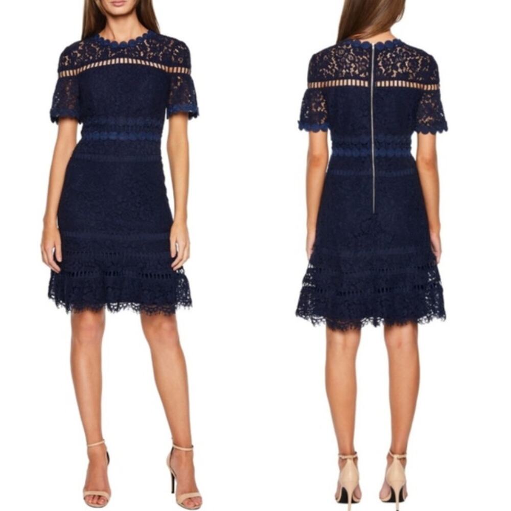Bardot Navy Lace Fit-and-Flare Dress